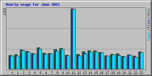 Hourly usage for June 2021